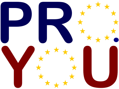 Pro.you